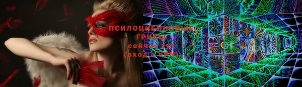 дурь Чита